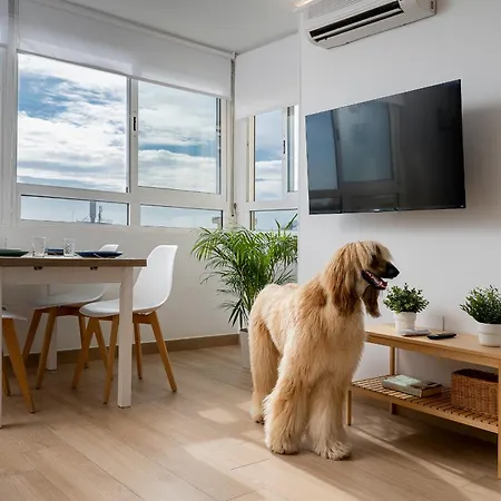 Monko Salome Hills * Torremolinos