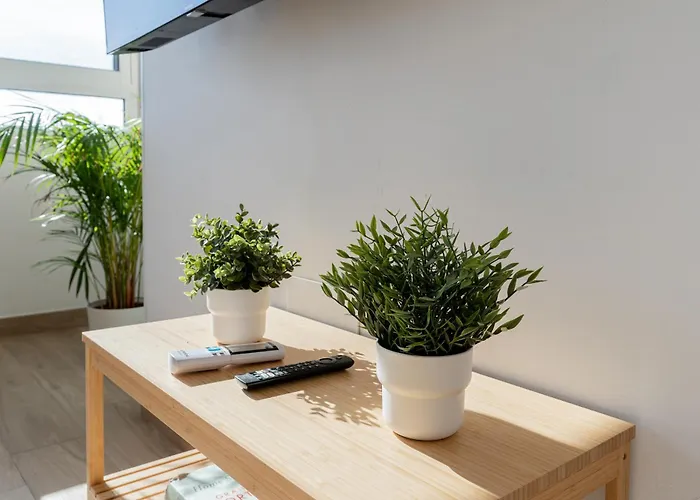 Monko Salome Hills * توريمولينوس