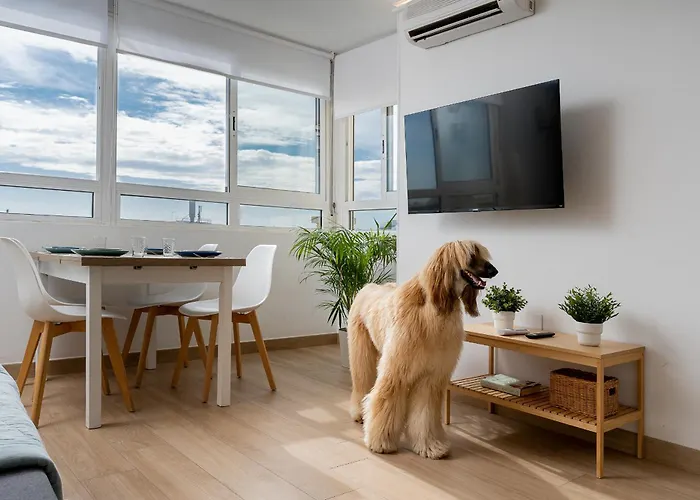 Monko Salome Hills * Torremolinos